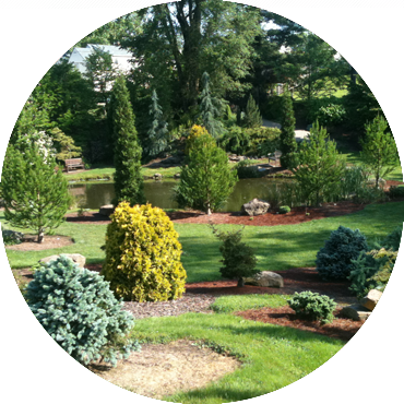 Image for event: Guided Tour of Mission Oaks Gardens