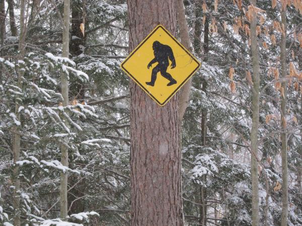 Image for event: Bigfoot Tales from Ohio and Beyond