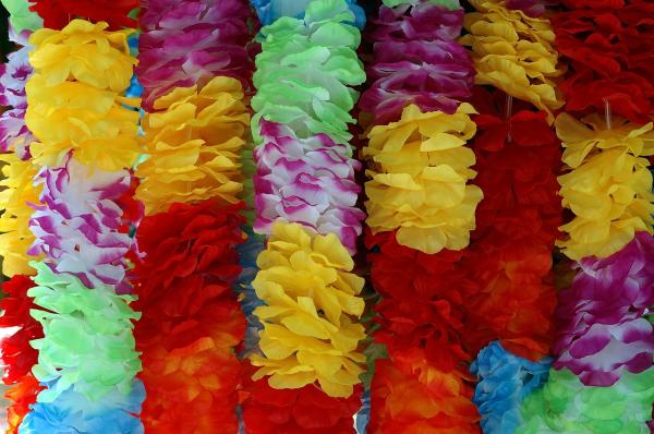 Image for event: Library Luau