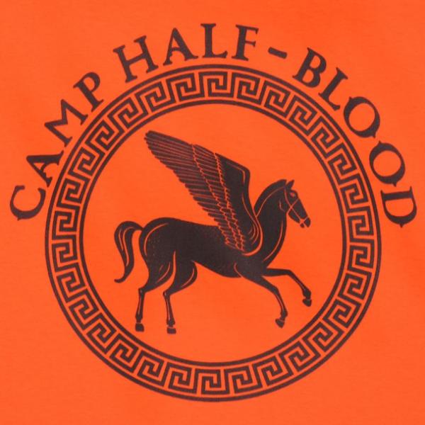 An orange and black logo with Pegasus and the words "camp half-blood."